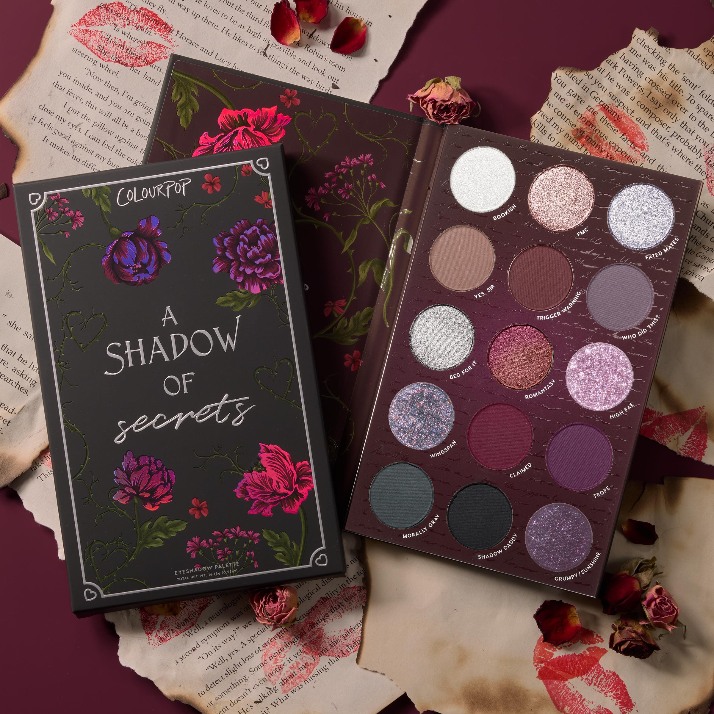 A Shadow of Secrets - Image 2