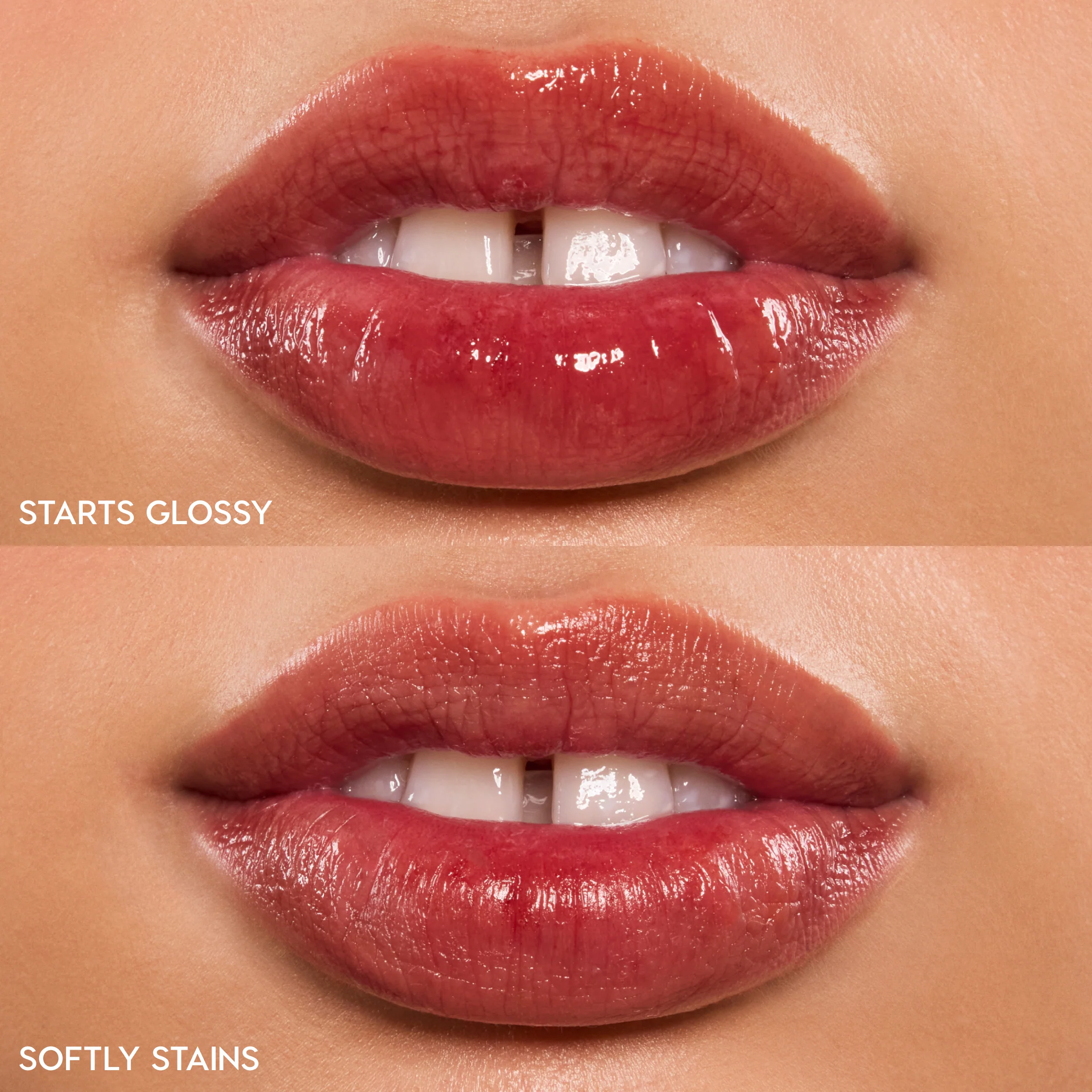 Baby Fox - Image 3