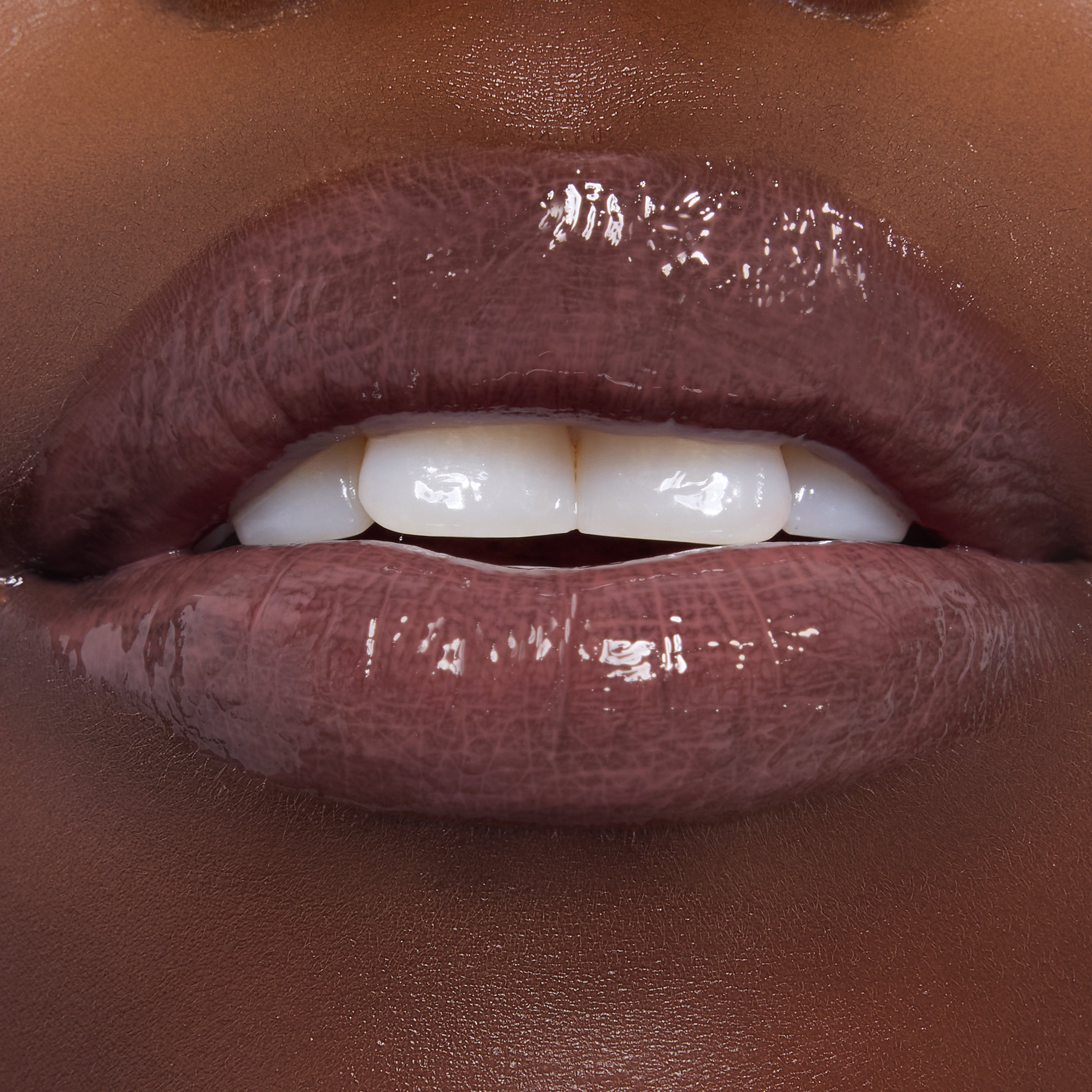 Noble Steed - Image 4